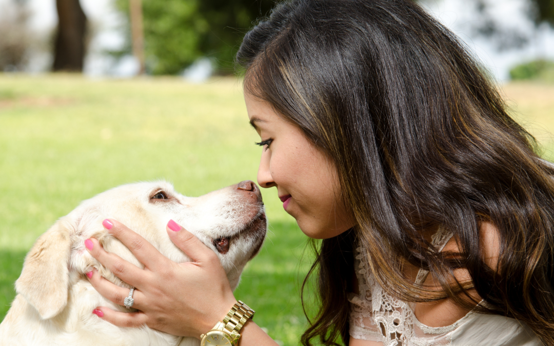 Building a Strong Bond: How to Understand and Communicate with Your Pet