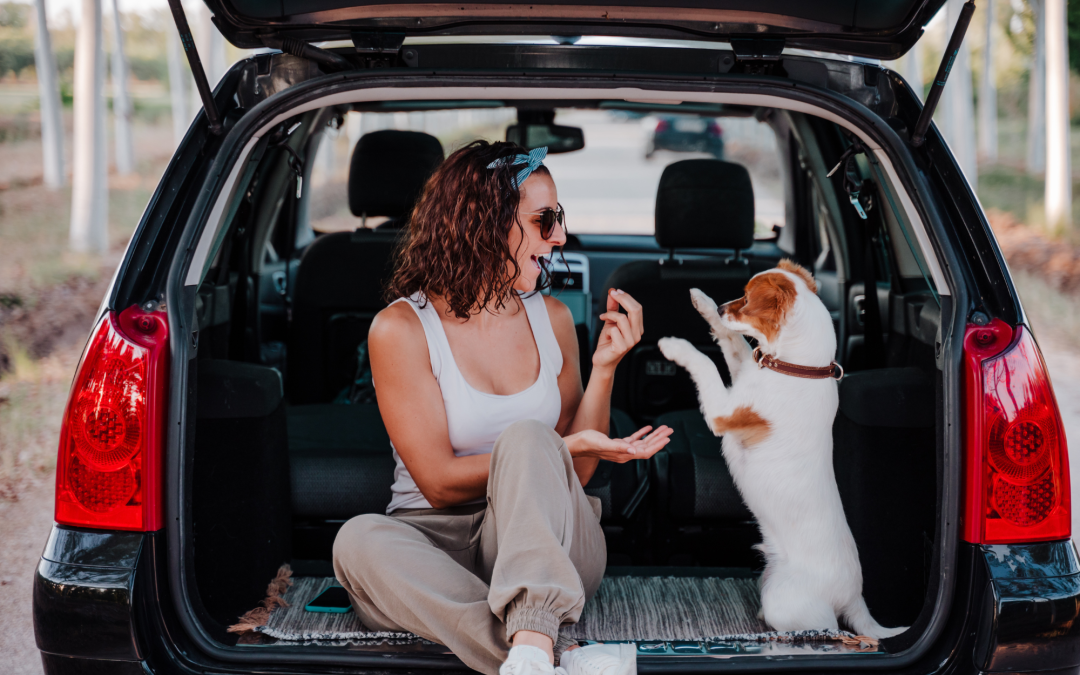 Happy Trails: How to Travel Comfortably with Your Pet