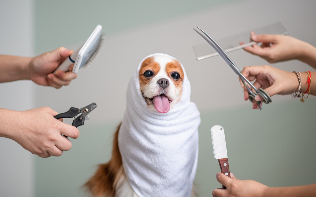 How to Groom Different Pets: Expert Tips and Tricks